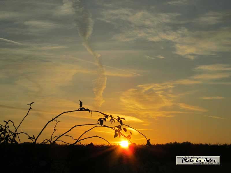 Schliessen von sonnenpracht0008.jpg