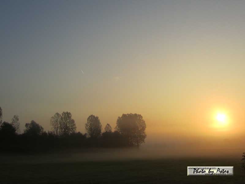 Schliessen von sonnenpracht0020.jpg