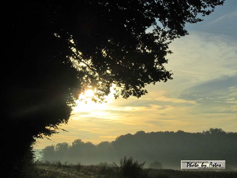 Schliessen von sonnenpracht0067.jpg