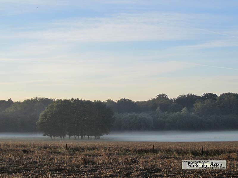 Schliessen von sonnenpracht0068.jpg