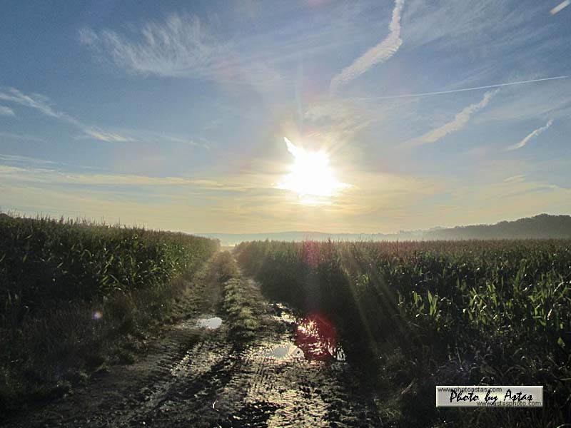 Schliessen von sonnenpracht0073.jpg