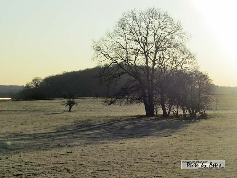 Schliessen von sonnenpracht0103.jpg