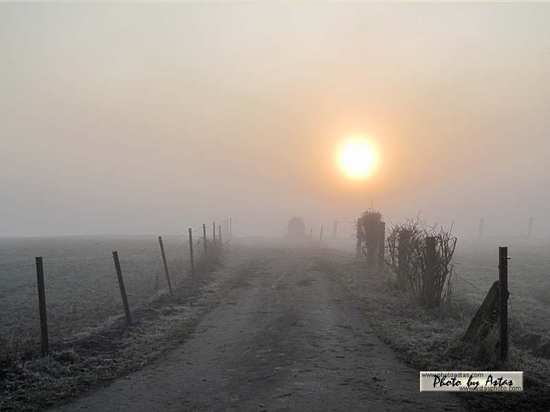 Schliessen von sonnenpracht0109.jpg