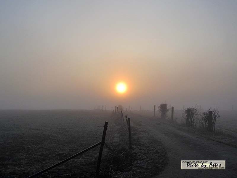 Schliessen von sonnenpracht0110.jpg