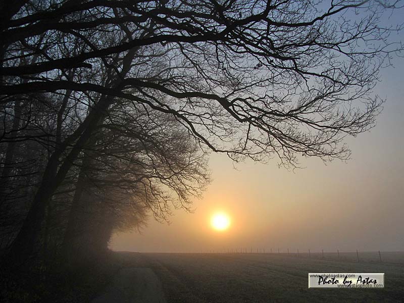 Schliessen von sonnenpracht0111.jpg