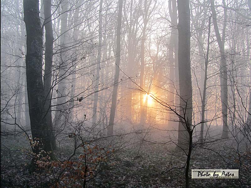 Schliessen von sonnenpracht0112.jpg