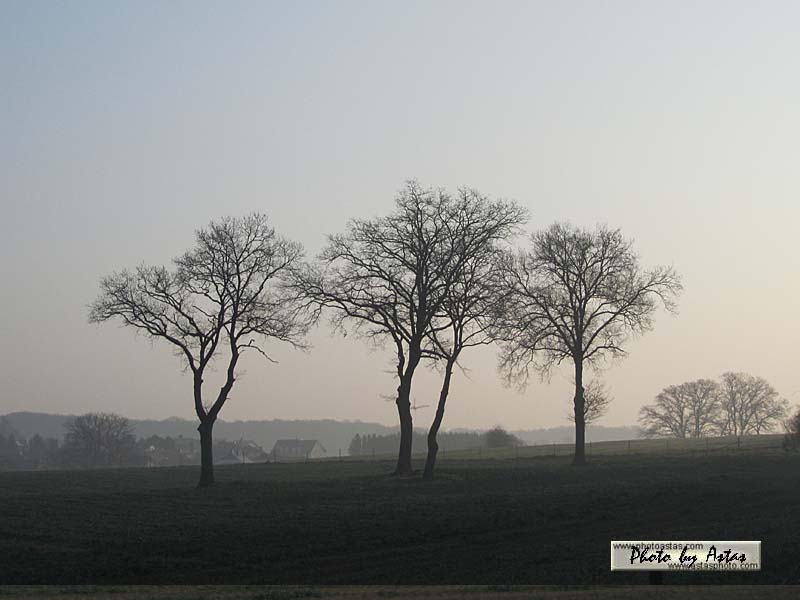 Schliessen von sonnenpracht0133.jpg