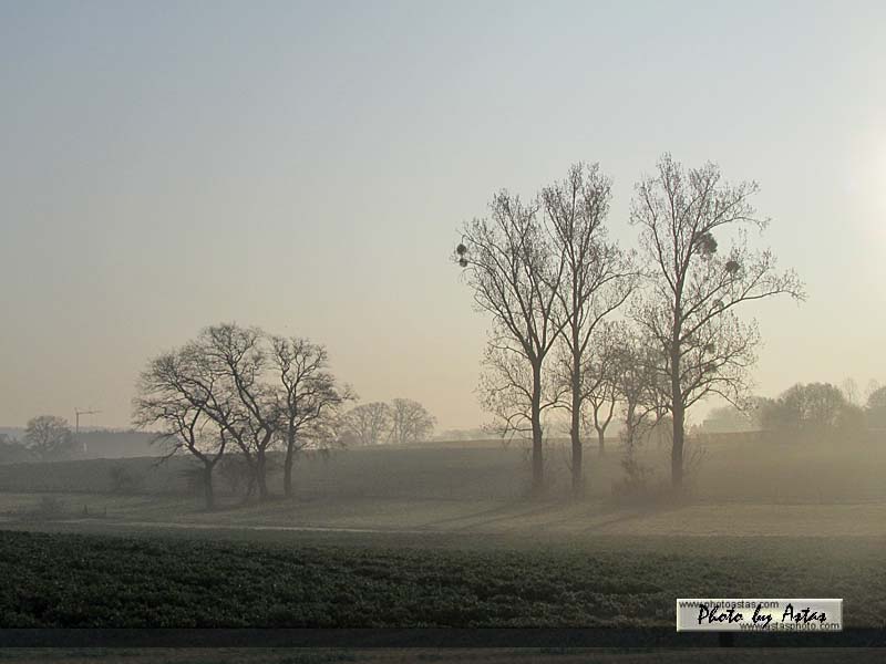 Schliessen von sonnenpracht0134.jpg