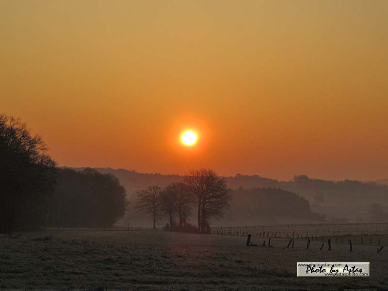 Schliessen von sonnenpracht0143.jpg