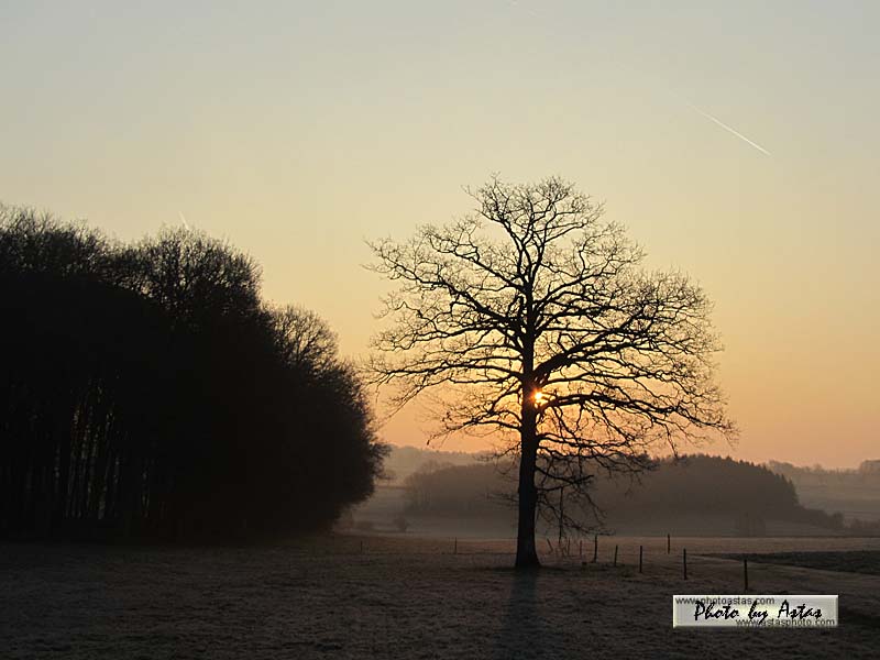 Schliessen von sonnenpracht0147.jpg