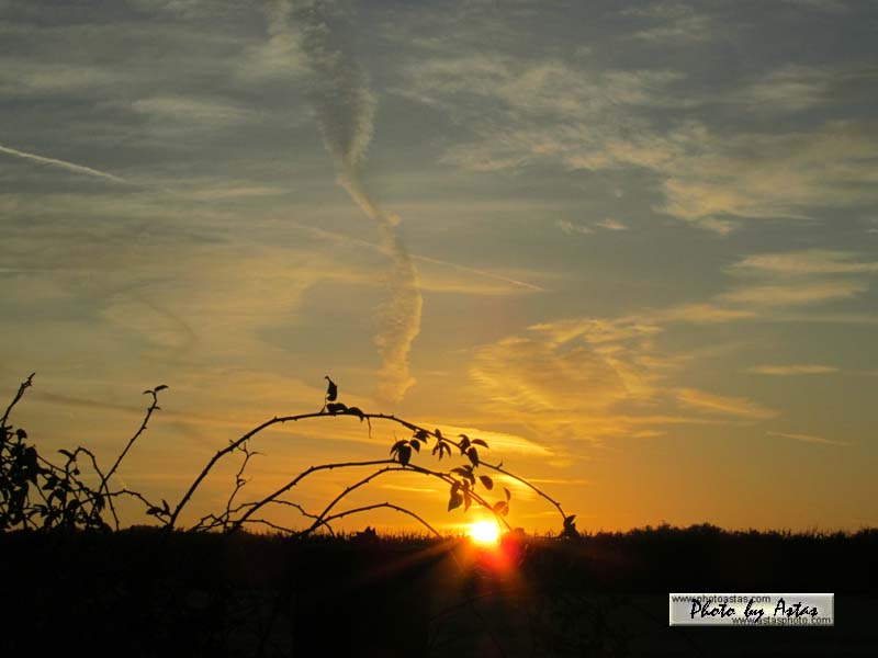 Schliessen von sonnenpracht0219.jpg