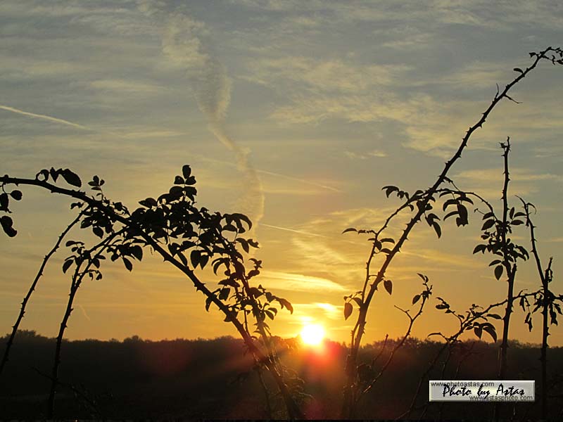 Schliessen von sonnenpracht0222.jpg