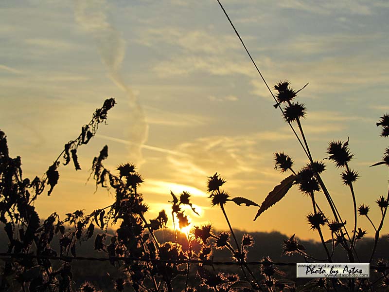 Schliessen von sonnenpracht0223.jpg