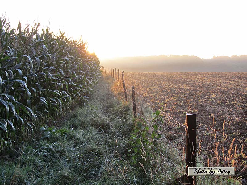 Schliessen von sonnenpracht0224.jpg