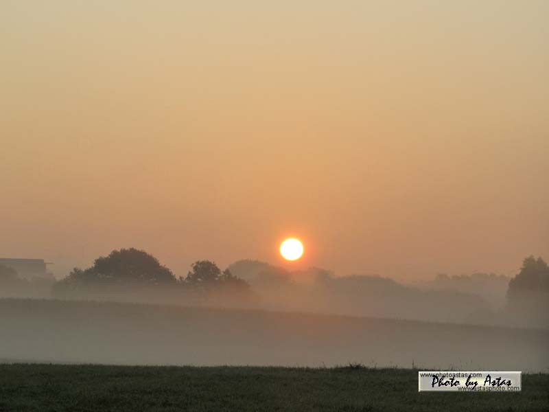 Schliessen von sonnenpracht0239.jpg