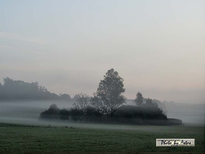 Schliessen von sonnenpracht0240.jpg