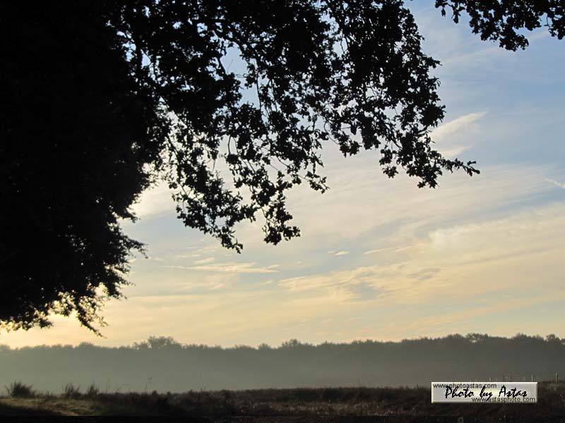 Schliessen von sonnenpracht0302.jpg