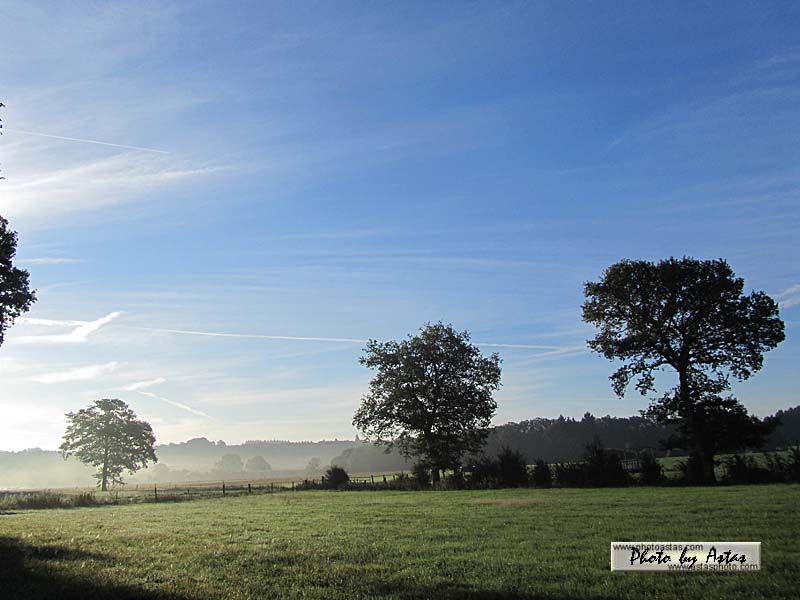 Schliessen von sonnenpracht0310.jpg