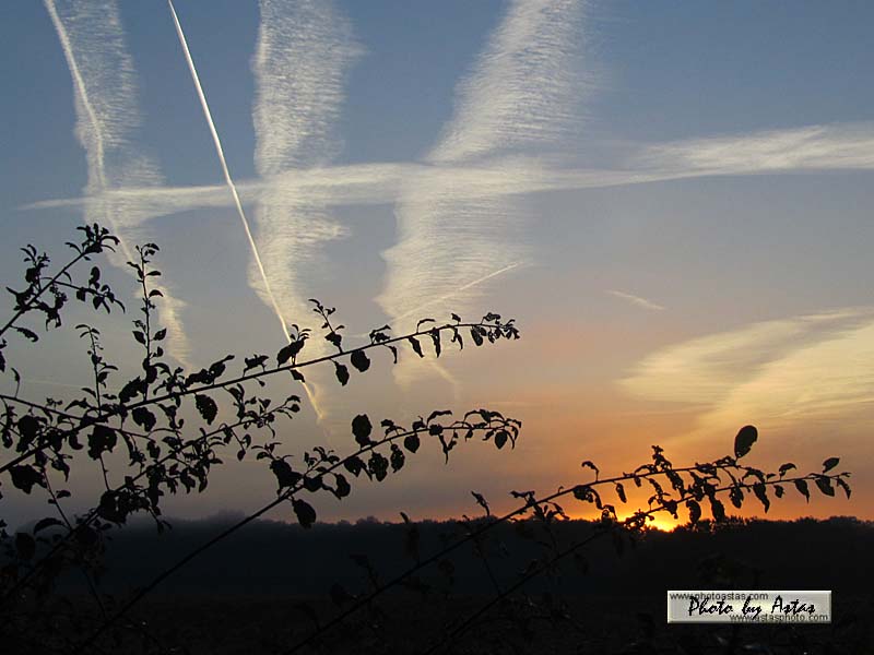 Schliessen von sonnenpracht0320.jpg