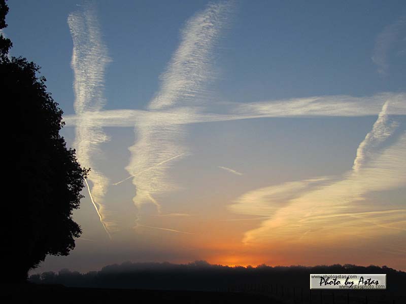 Schliessen von sonnenpracht0322.jpg