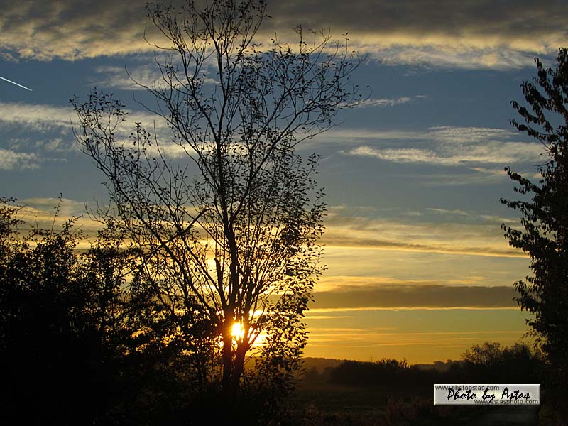 Schliessen von sonnenpracht0366.jpg