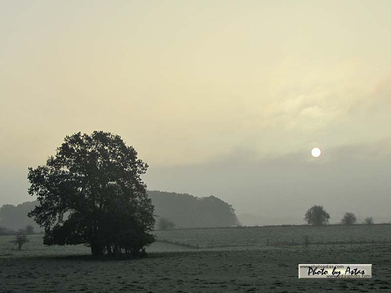 Schliessen von sonnenpracht0377.jpg