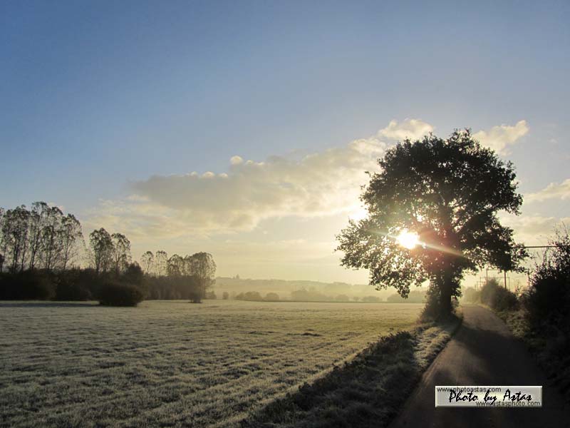 Schliessen von sonnenpracht0380.jpg