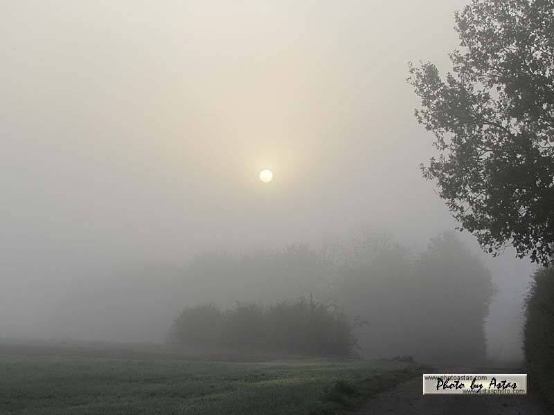 Schliessen von sonnenpracht0382.jpg