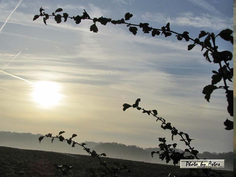 Schliessen von sonnenpracht0384.jpg