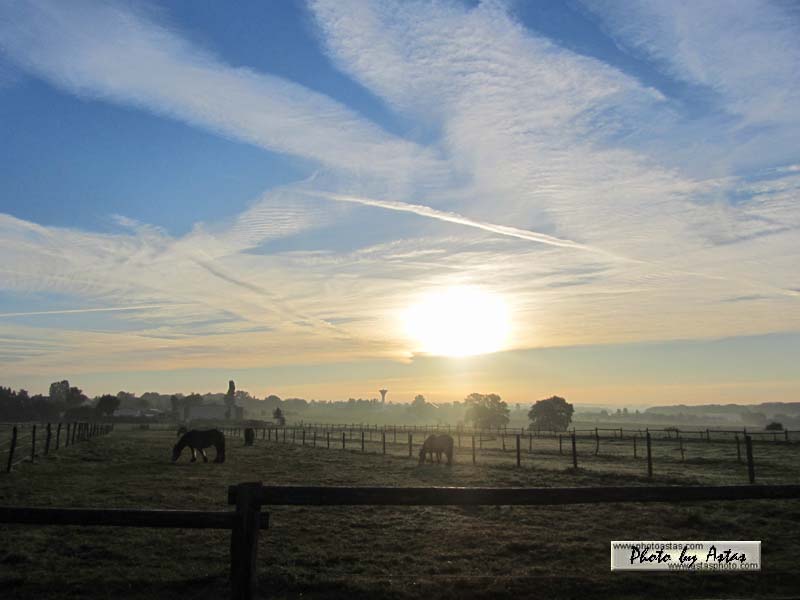 Schliessen von sonnenpracht0395.jpg