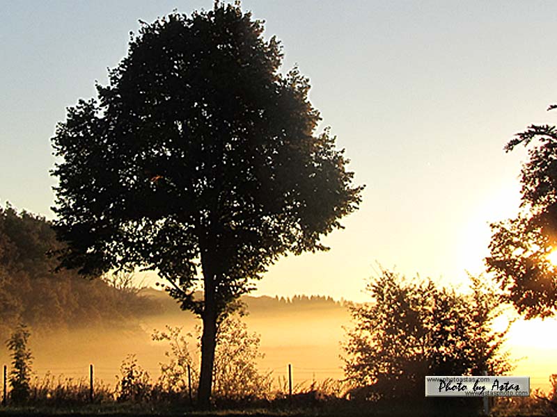 Schliessen von sonnenpracht0484.jpg