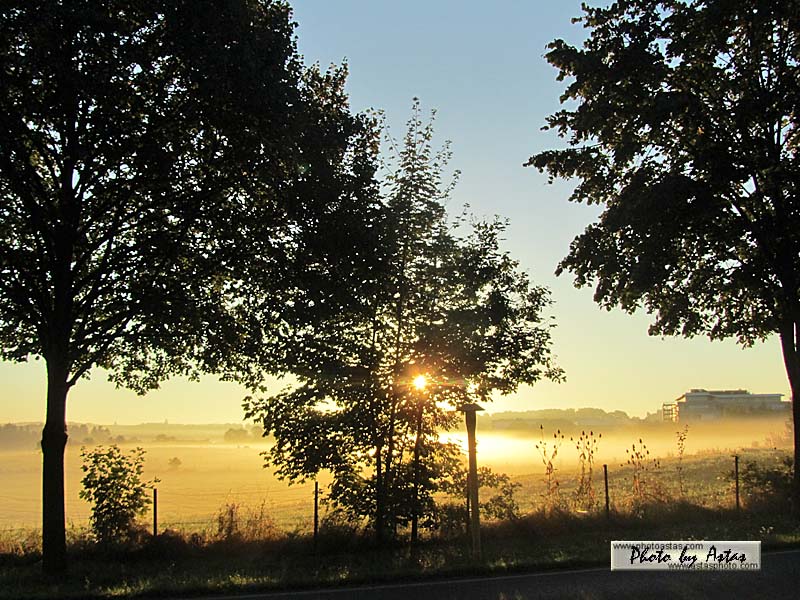 Schliessen von sonnenpracht0488.jpg