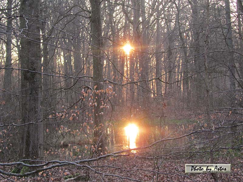 Schliessen von sonnenpracht0518.jpg