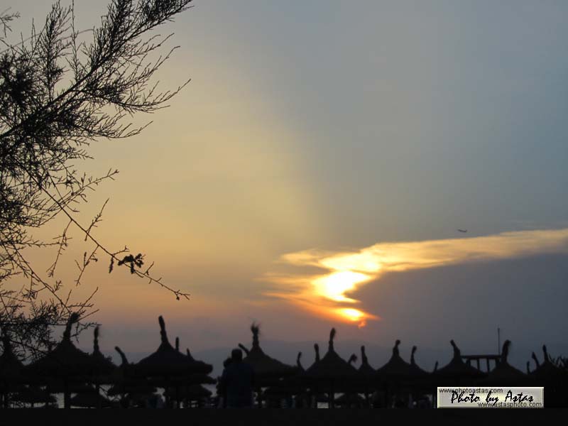 Schliessen von sonnenpracht0552.jpg