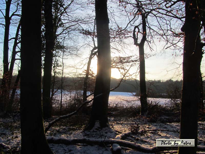 Schliessen von sonnenpracht0555.jpg