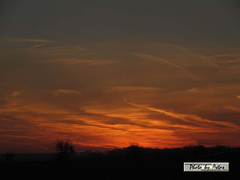 Schliessen von sonnenpracht0577.jpg