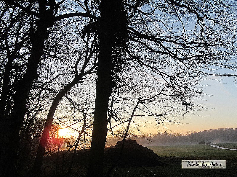 Schliessen von sonnenpracht0584.jpg