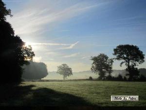 Klick für Originalgröße :sonnenpracht0009.jpg