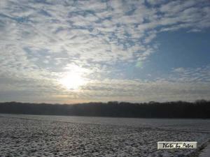 Klick für Originalgröße :sonnenpracht0010.jpg