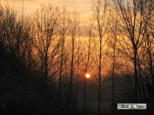 Klick für Originalgröße :sonnenpracht0042.jpg