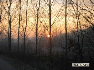 Klick für Originalgröße :sonnenpracht0044.jpg