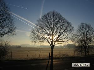 Klick für Originalgröße :sonnenpracht0065.jpg