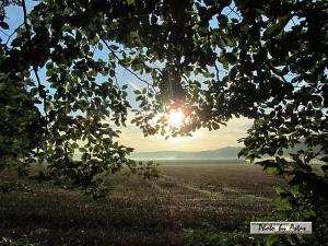 Klick für Originalgröße :sonnenpracht0070.jpg