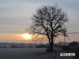 Klick für Originalgröße :sonnenpracht0100.jpg