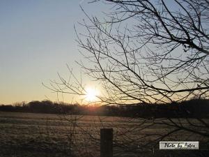 Klick für Originalgröße :sonnenpracht0102.jpg