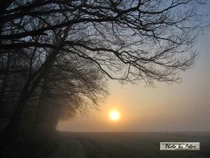 Klick für Originalgröße :sonnenpracht0111.jpg