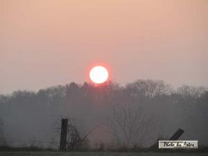 Klick für Originalgröße :sonnenpracht0124.jpg