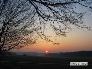 Klick für Originalgröße :sonnenpracht0140.jpg