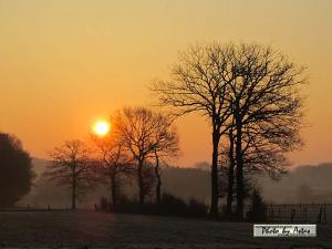 Klick für Originalgröße :sonnenpracht0144.jpg