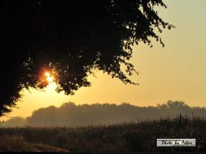 Klick für Originalgröße :sonnenpracht0159.jpg